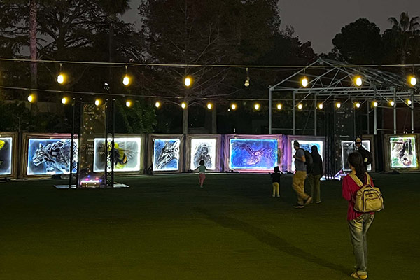 Events-and-Outdoor-Exhibitions